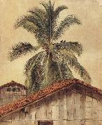 Frederic E.Church Palm Tres and Housetops,Ecuador oil